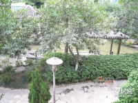 碧河花园实景图图片