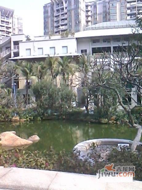 石竹新花园实景图图片