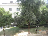 锦汇苑实景图5