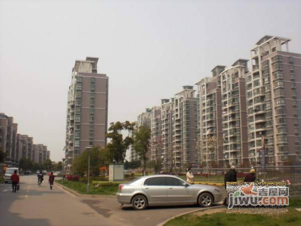 绿洲花园实景图图片