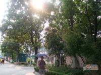 潍坊三村实景图图片