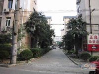 楼园实景图48