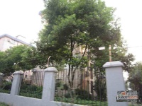 楼园实景图48
