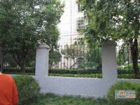 楼园实景图48