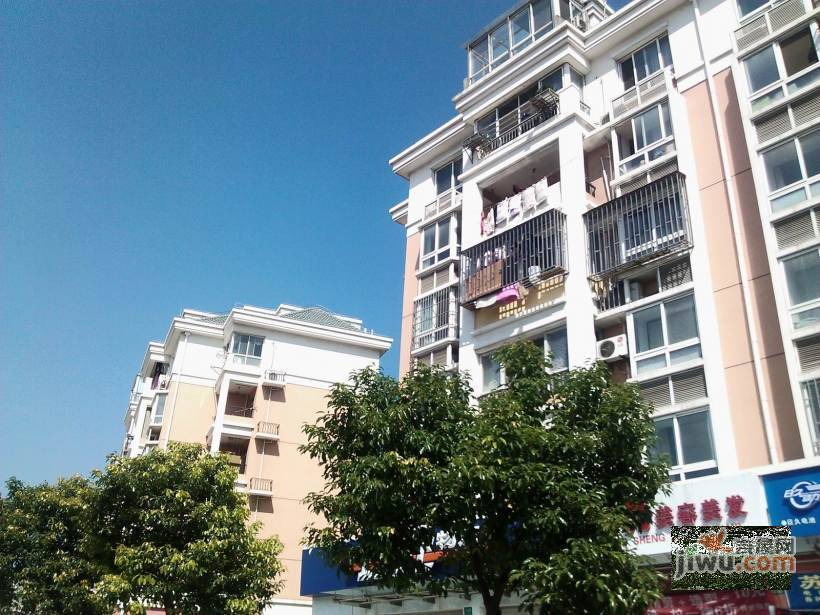 港城新苑实景图图片