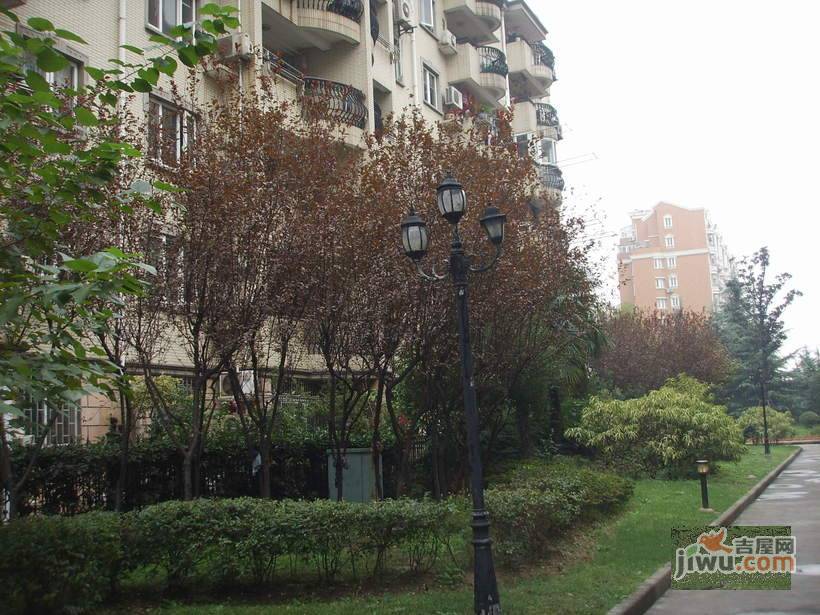 徐汇芳邻实景图图片