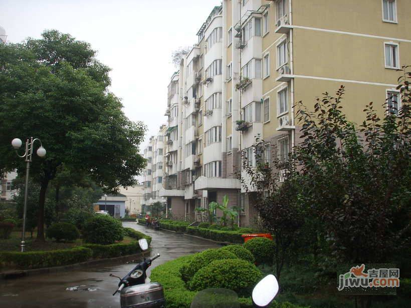 徐汇芳邻实景图图片