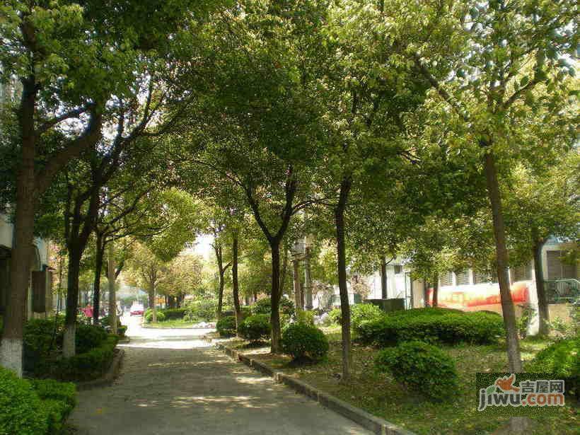 徐汇芳邻实景图图片