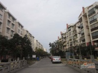 伟业金锦苑三村实景图15
