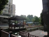 虹桥中园实景图3