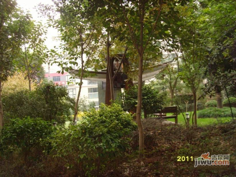 达安锦园实景图图片