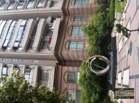 虹桥乐庭实景图2