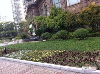虹桥乐庭实景图2