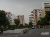 安阁苑实景图5
