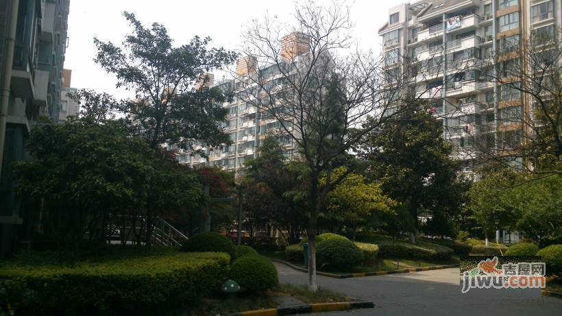 滨江雅苑一期实景图图片