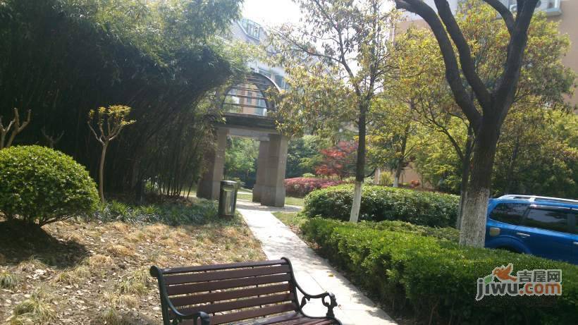 滨江雅苑一期实景图图片