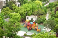 奥赛花园实景图图片