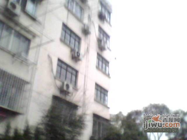 罗山三村实景图图片