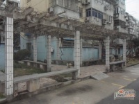 和平小区实景图47