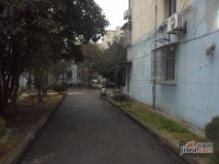 和平小区实景图47