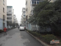 和平小区实景图47