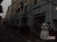 和平小区实景图47