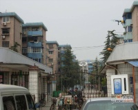 平南三村实景图图片