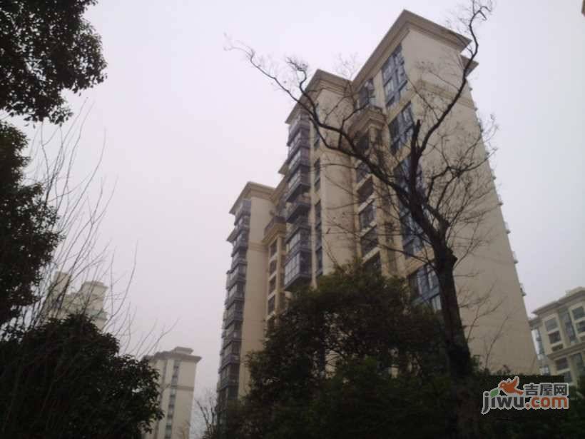 绿地新里崴廉公寓实景图图片