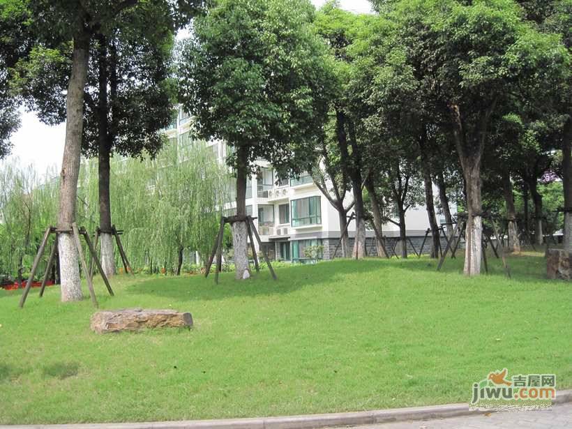 春江锦庐实景图图片