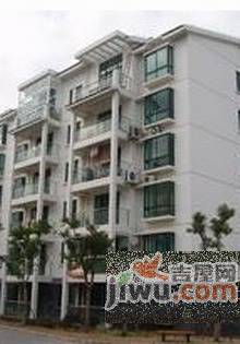 春江锦庐实景图图片