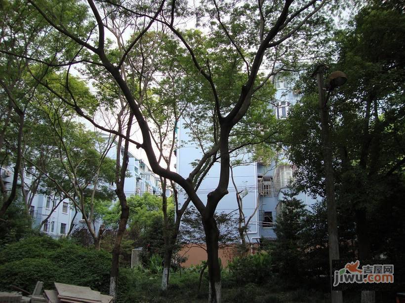 古美八村实景图图片
