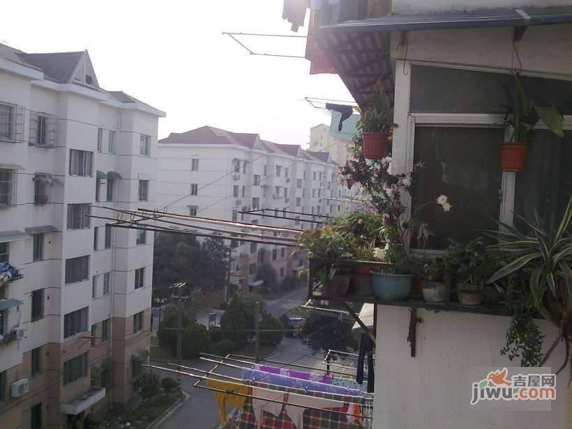 黎明花园实景图图片
