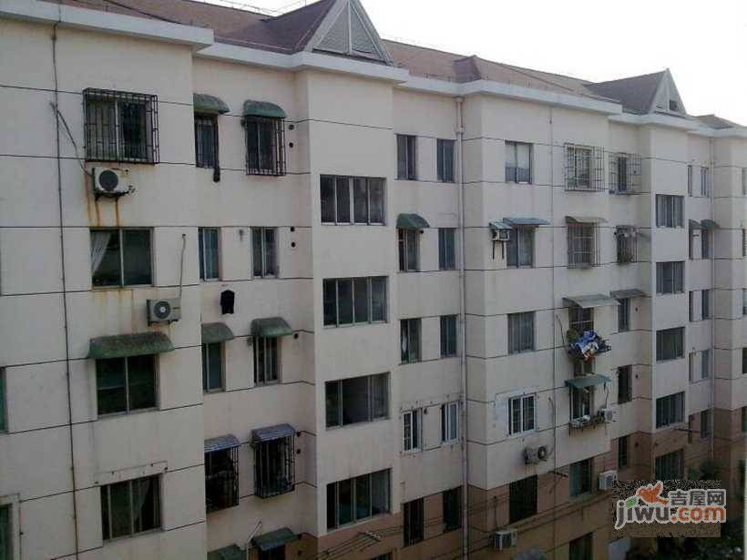 黎明花园实景图图片