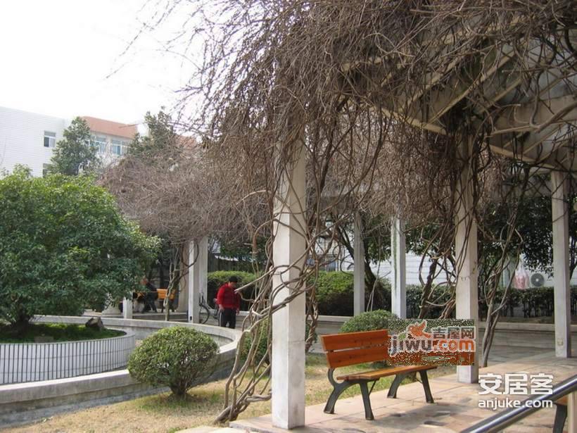 丹桂花园实景图图片
