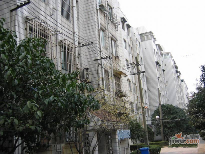 丹桂花园实景图图片