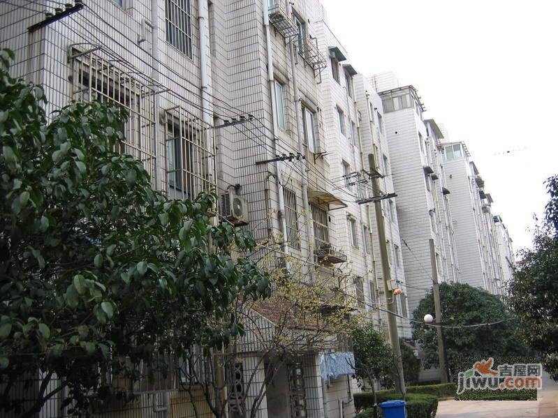 丹桂花园实景图图片