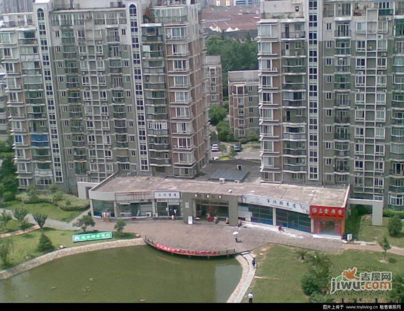 上海阳城实景图图片