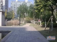 上海奥林匹克花园实景图图片