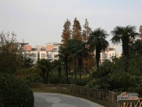 上海奥林匹克花园实景图图片