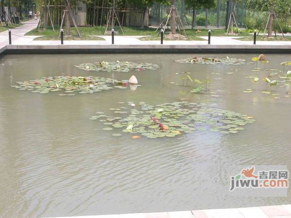 上海奥林匹克花园实景图39