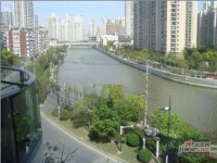 新湖明珠城实景图33