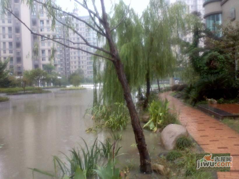 经纬阳光水岸家园实景图图片