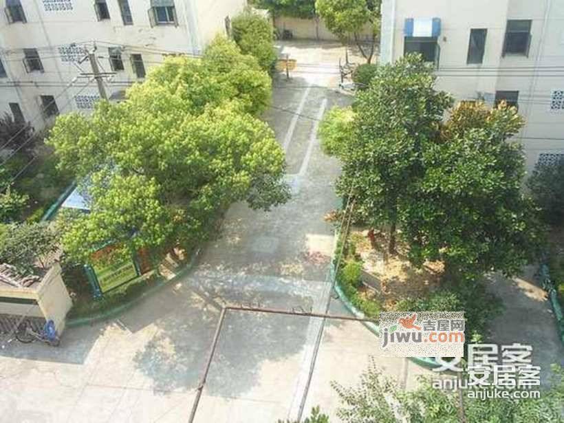 凌兆新村实景图图片