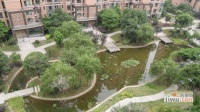绿洲香岛花园实景图图片