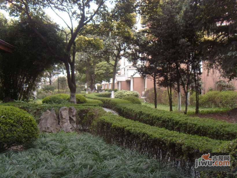 新明星花园实景图图片