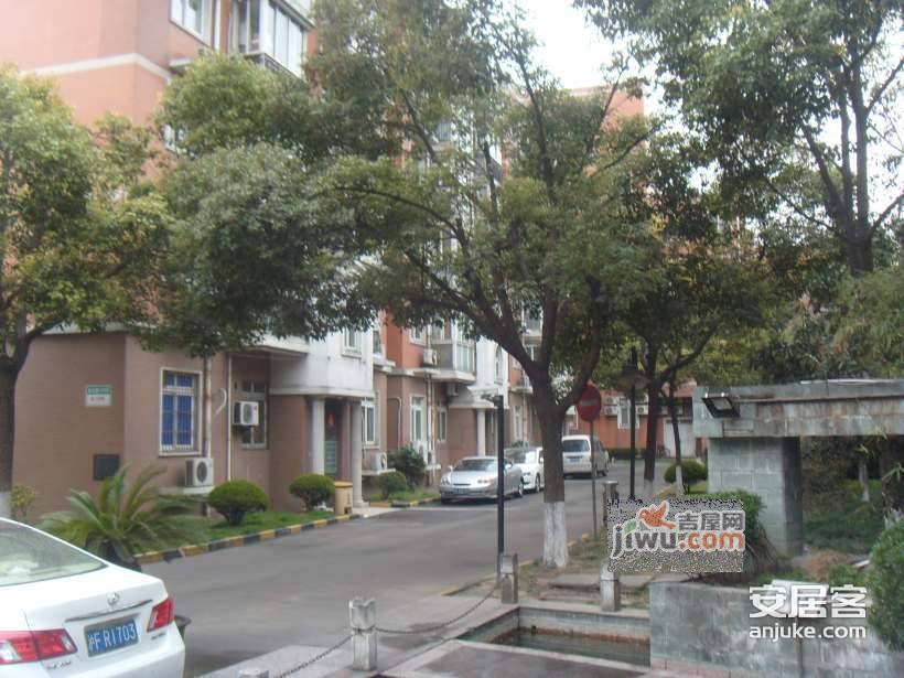 新明星花园实景图图片