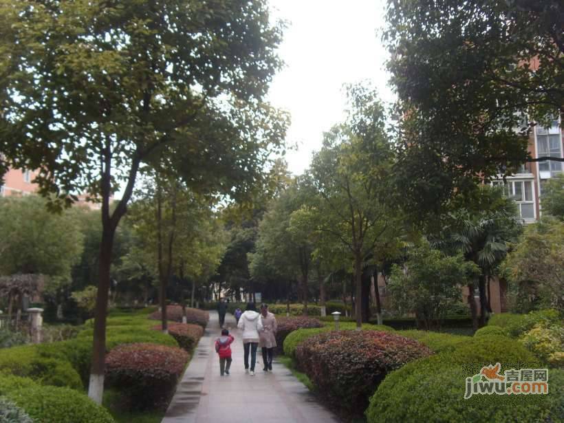 新明星花园实景图图片