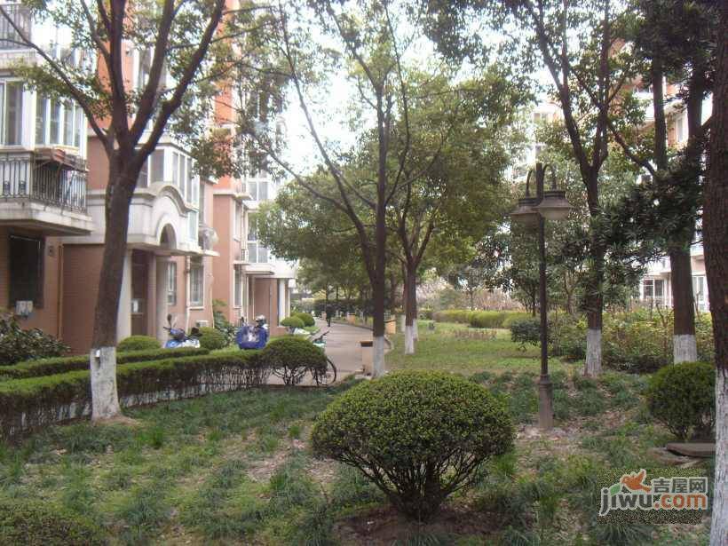 新明星花园实景图图片
