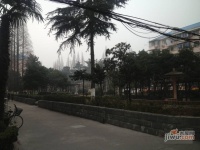 潍坊九村实景图图片
