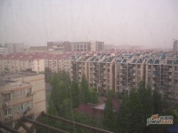 龙柏四季花园实景图3
